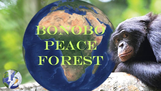 Bonobo Peace Park