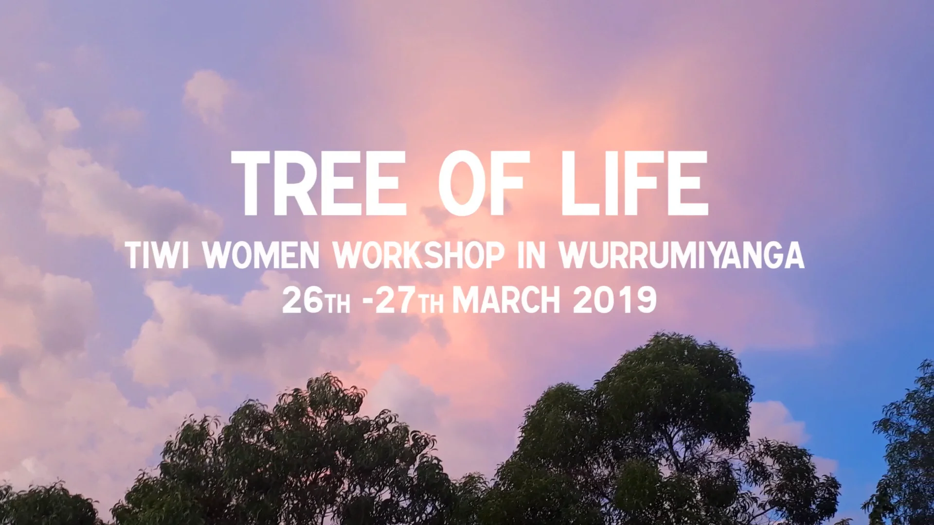 Tiwi Women Telling Story 'Watering the Tree of Life' Workshop