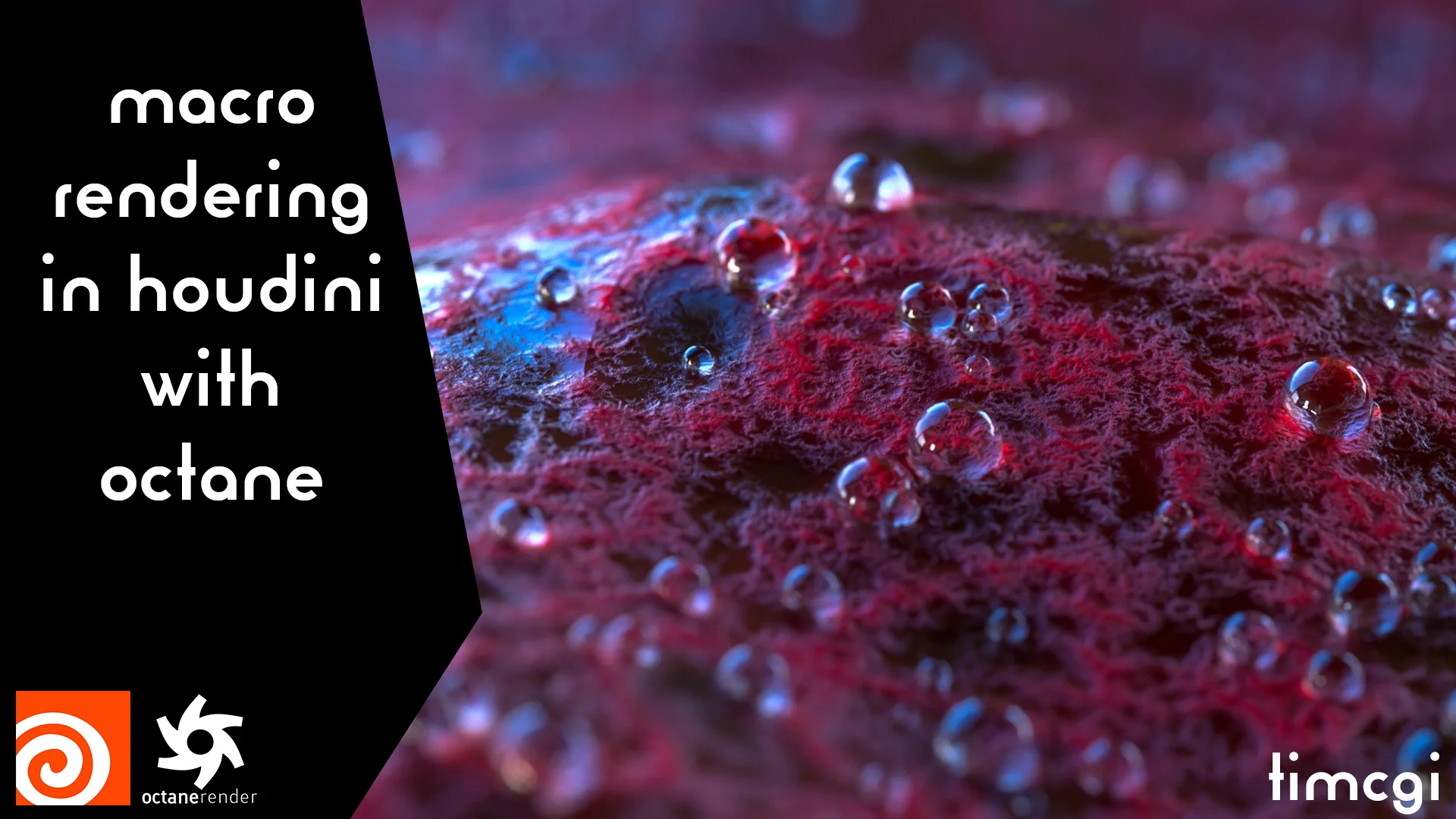 Houdini - Macro Rendering with Octane on Vimeo