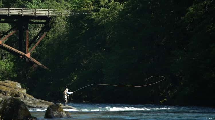 Fly Fishing the Fall Run on Cape Cod on Vimeo