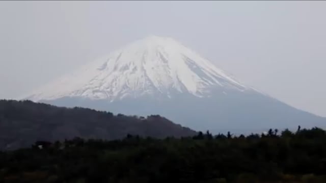 Aokigahara: Suicide Forest