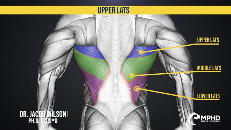 How to Target the Upper Lats