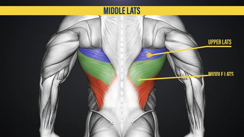 How to Target the Middle Lats