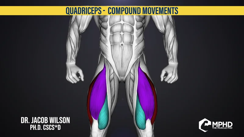 Compound Movements for the Quadriceps