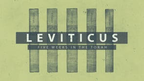 Five Weeks in the Torah -  Leviticus