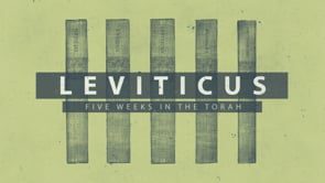 Five Weeks in the Torah -  Leviticus