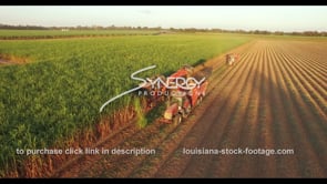 862 Louisiana farmer harvesting sugarcane aerial