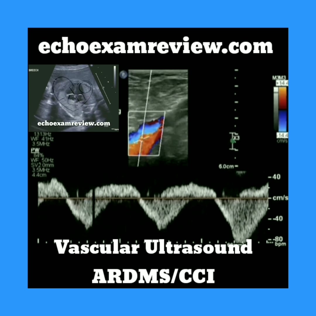 Vascular Ultrasound Board Review on Vimeo