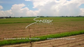 113 Epic aerial drone descent to freshly planted sugarcane field​