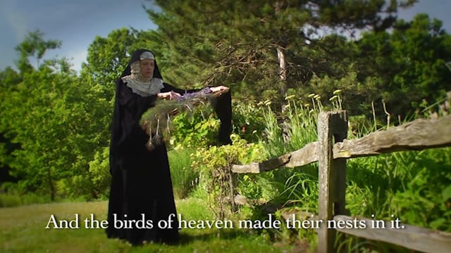 The Unruly Mystic, Saint Hildegard: Music