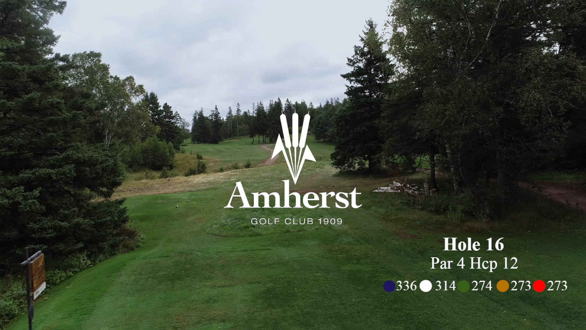 Amherst #16