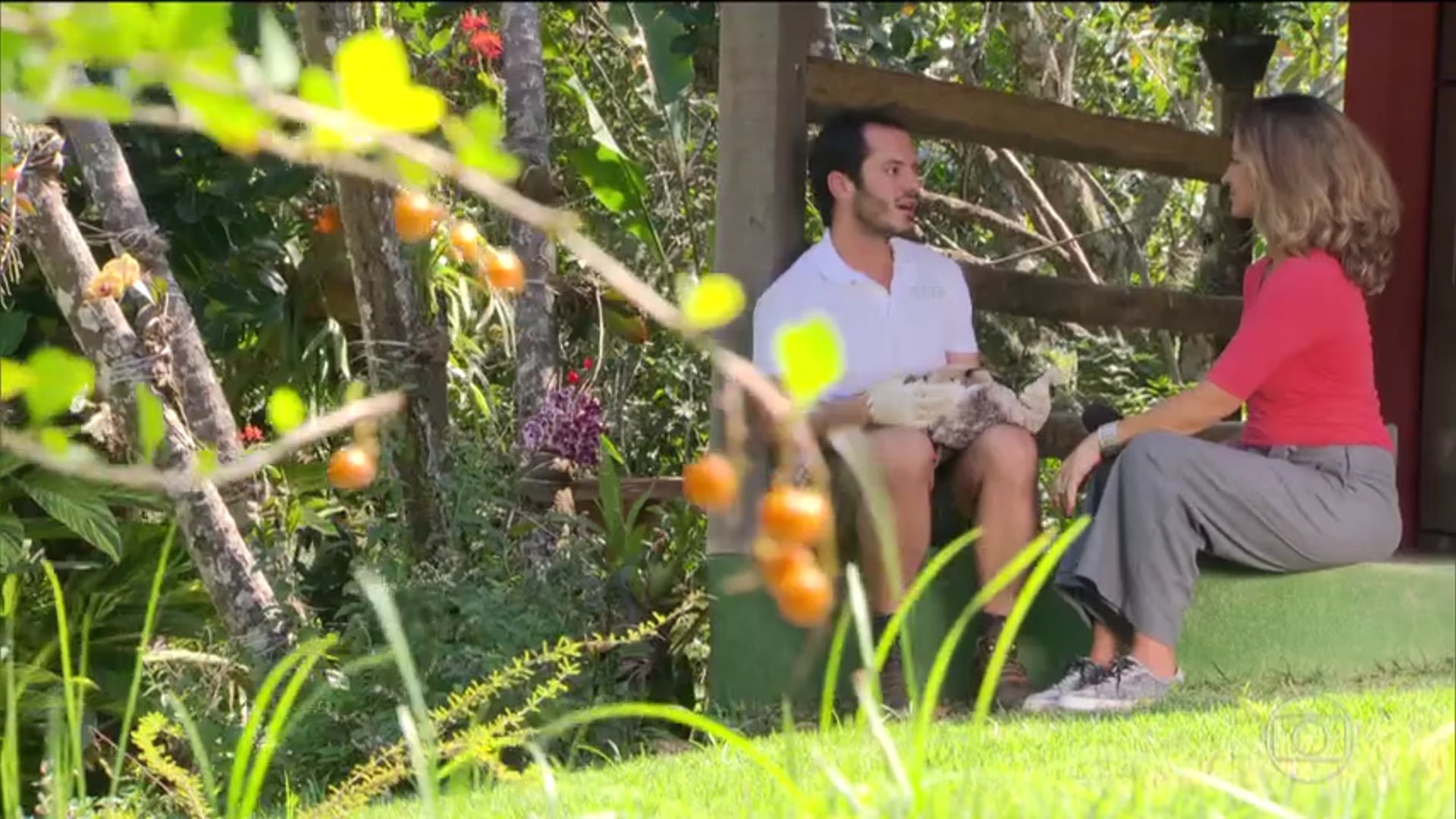 Bom Dia Brasil | Projeto no Rio de Janeiro ajuda a devolver para a natureza animais silvestres ameaçados