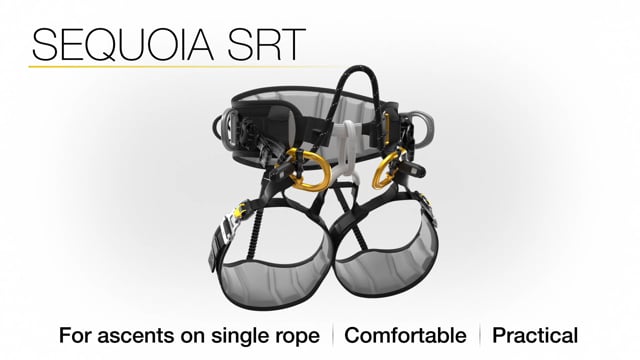 アウトドア 登山用品 SEQUOIA SRT - Tree care seat harness for single-rope ascent techniques