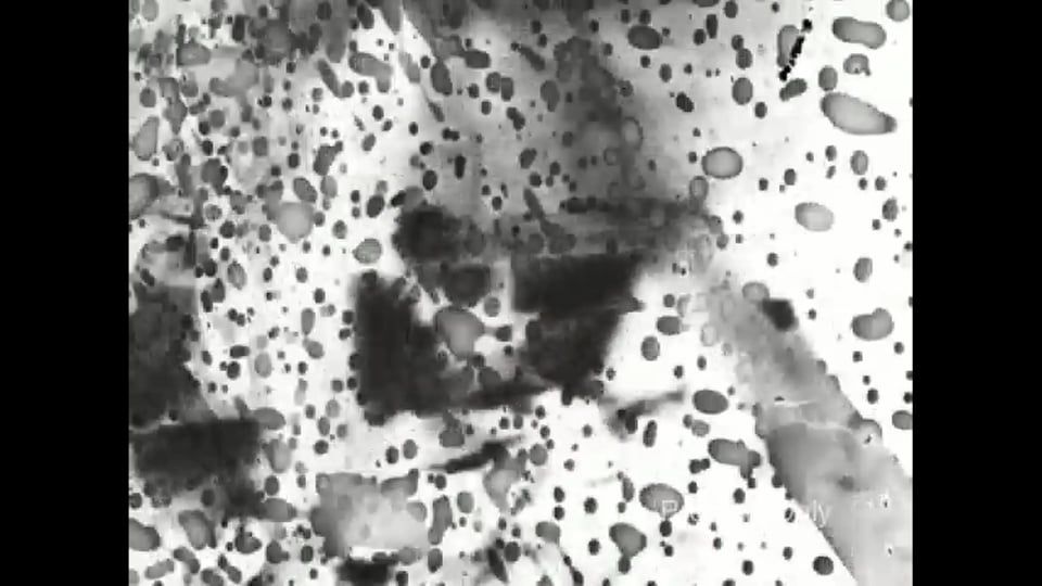 Cowboys and Iodine