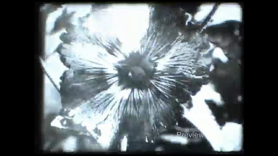 Solarization