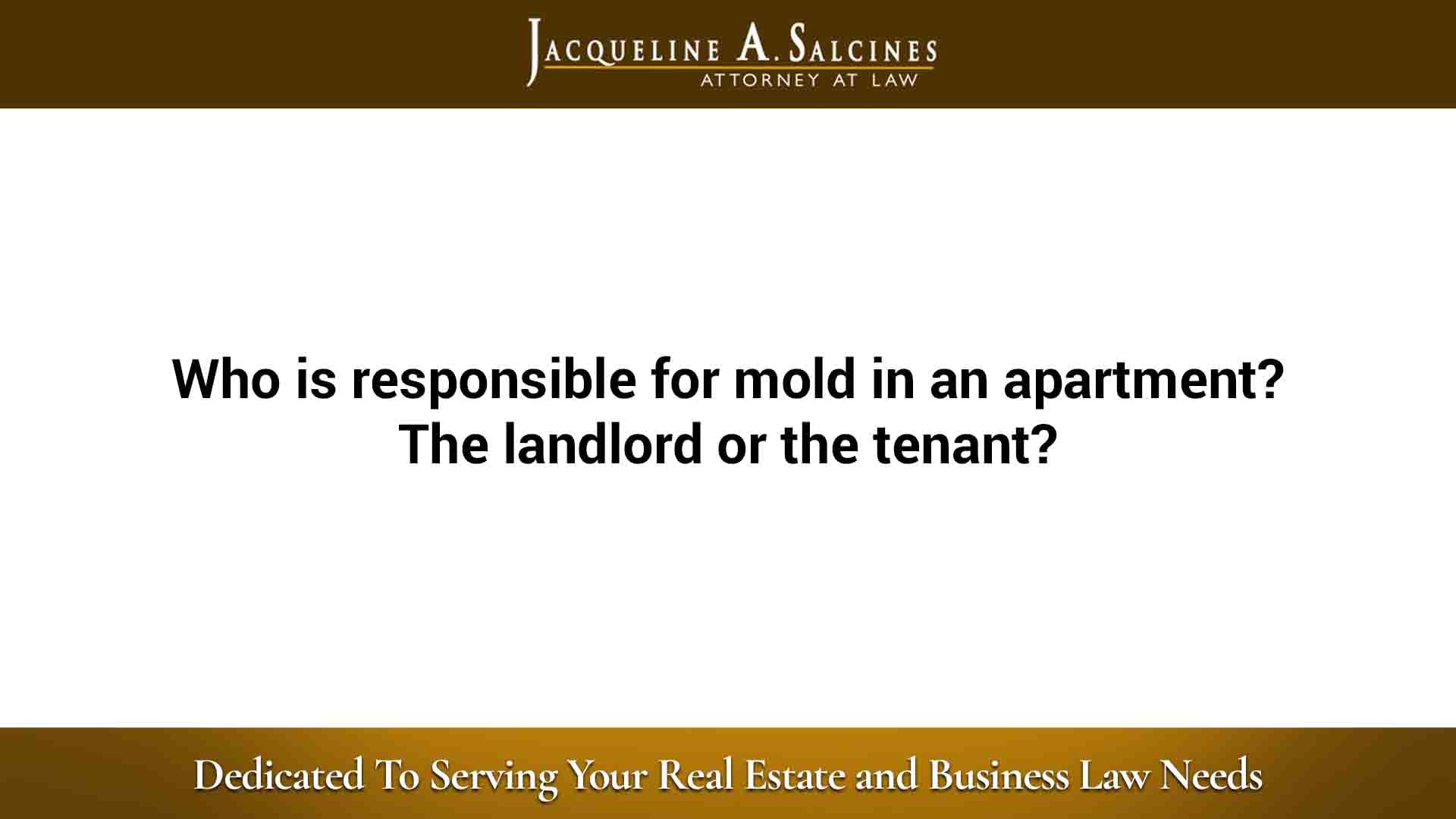 contact-landlord-if-you-need-black-mold-removal-in-springfield-missouri