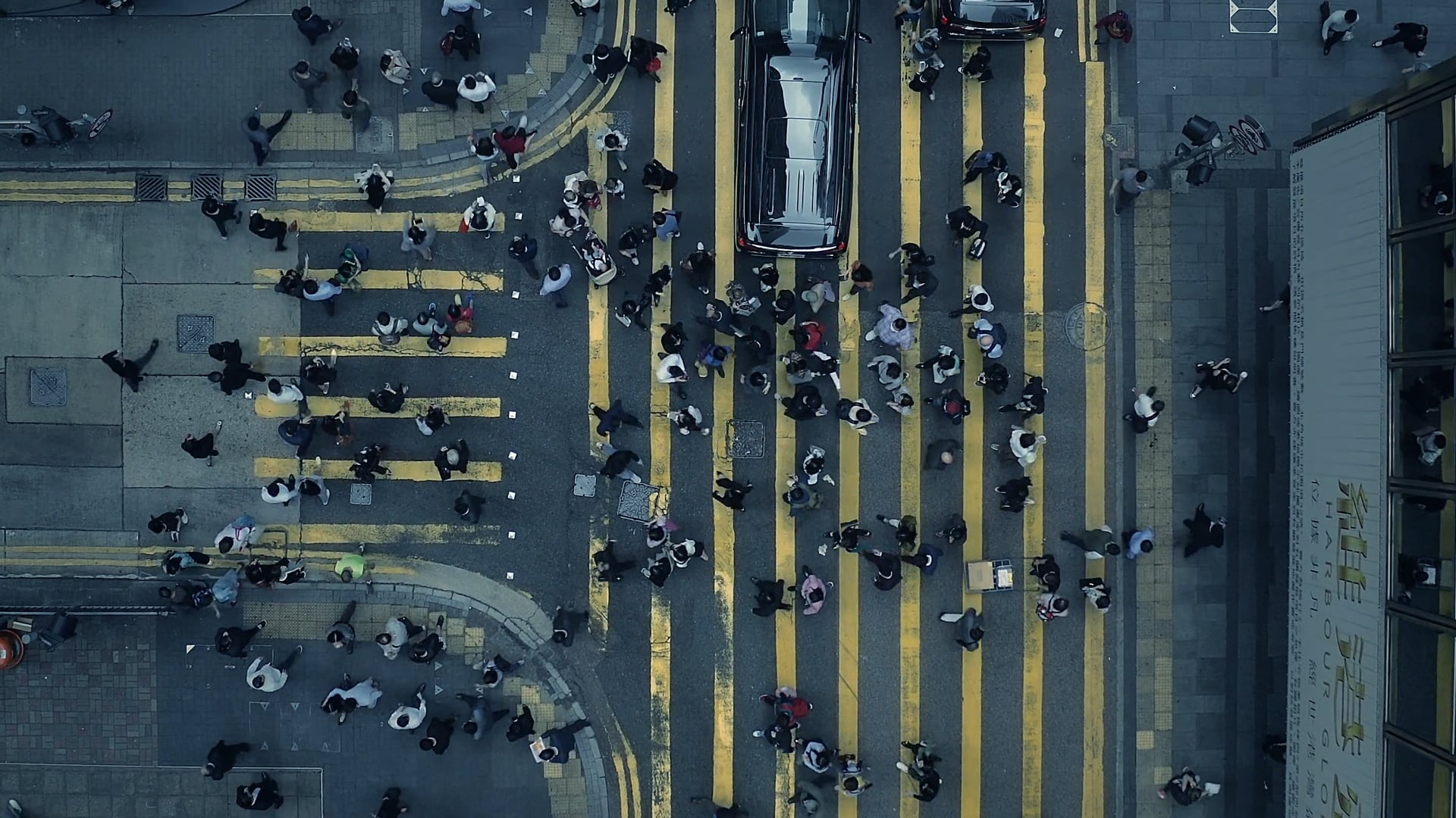 Human Architecture, Dir: Karim Shaaban