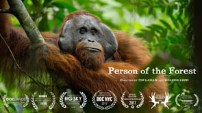 Person of the Forest
