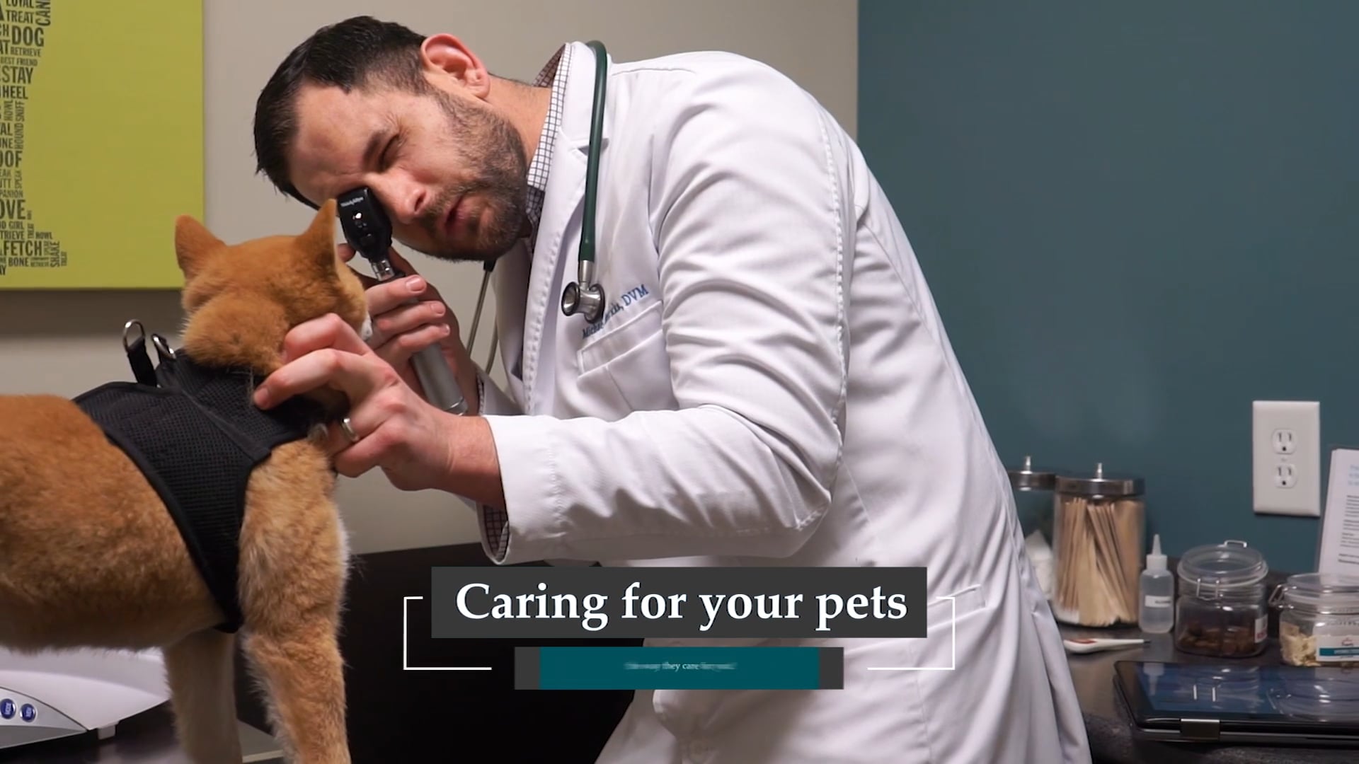 Faithful Friends | Brand Video | May 2019