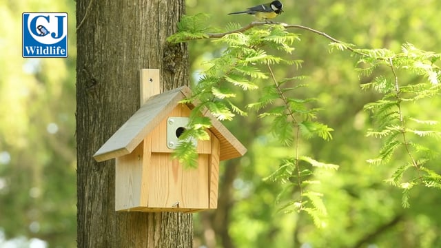 CJ Wildlife Malmedy Nest Box