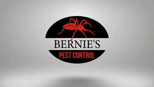 Pest Control Coomera  Gold Coast Pest Services