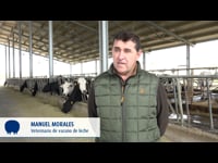 Manuel Morales Gamazo