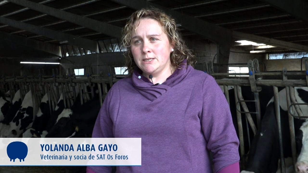 Yolanda Alba Gayo | Revista Vaca Pinta | En Castellano