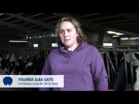 Yolanda Alba Gayo