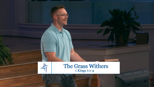 The Grass Withers | 1 Kings 1:1-4