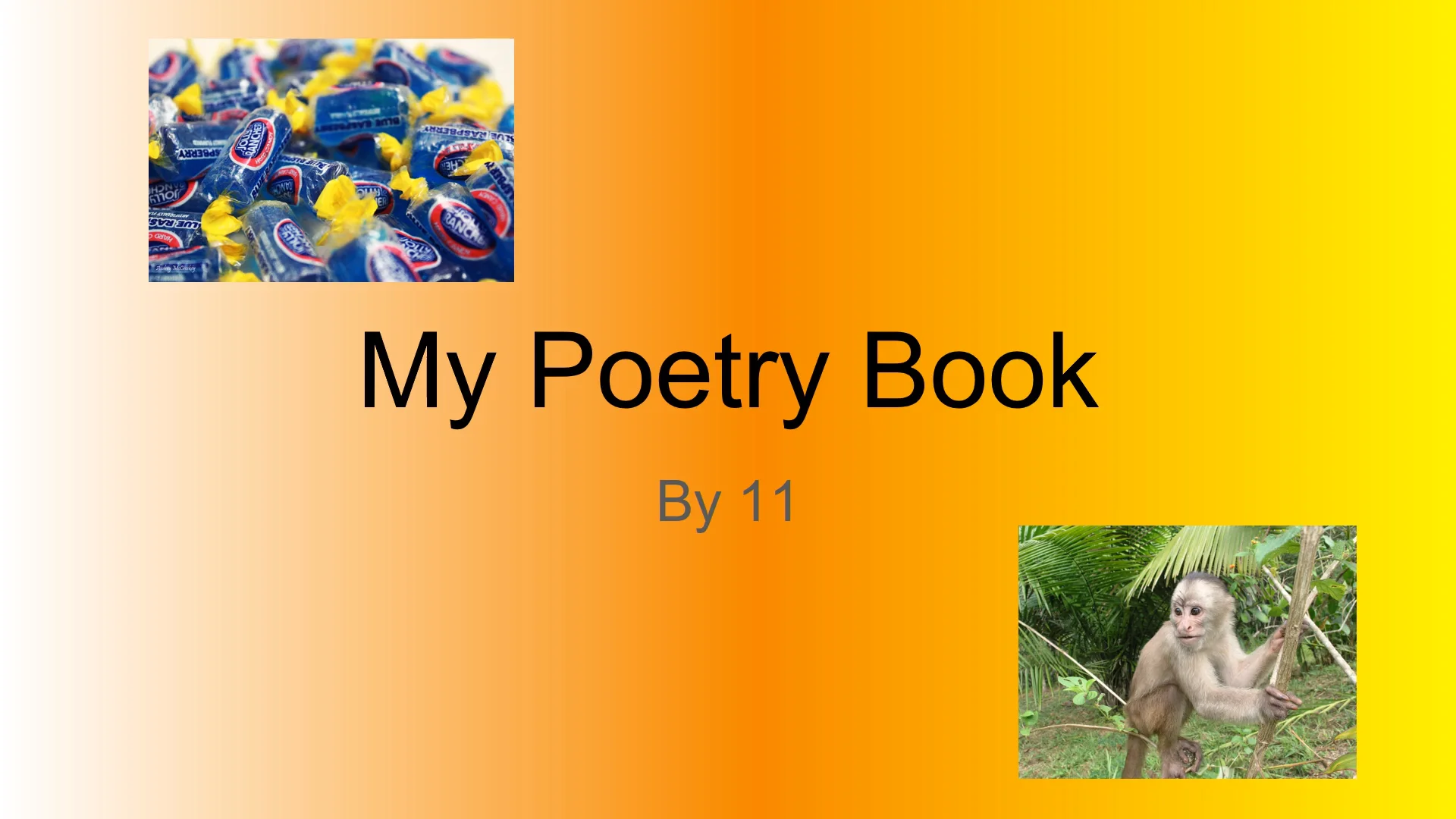 11-my-poetry-book-on-vimeo