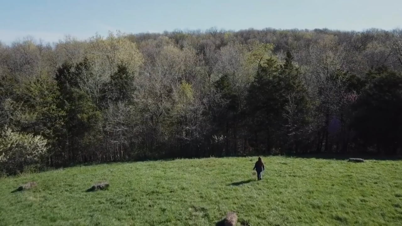 Promotional video for Springfield Community Gardens in Springfield, Missouri for screening at the Wildcraft event on 1 June 2019.