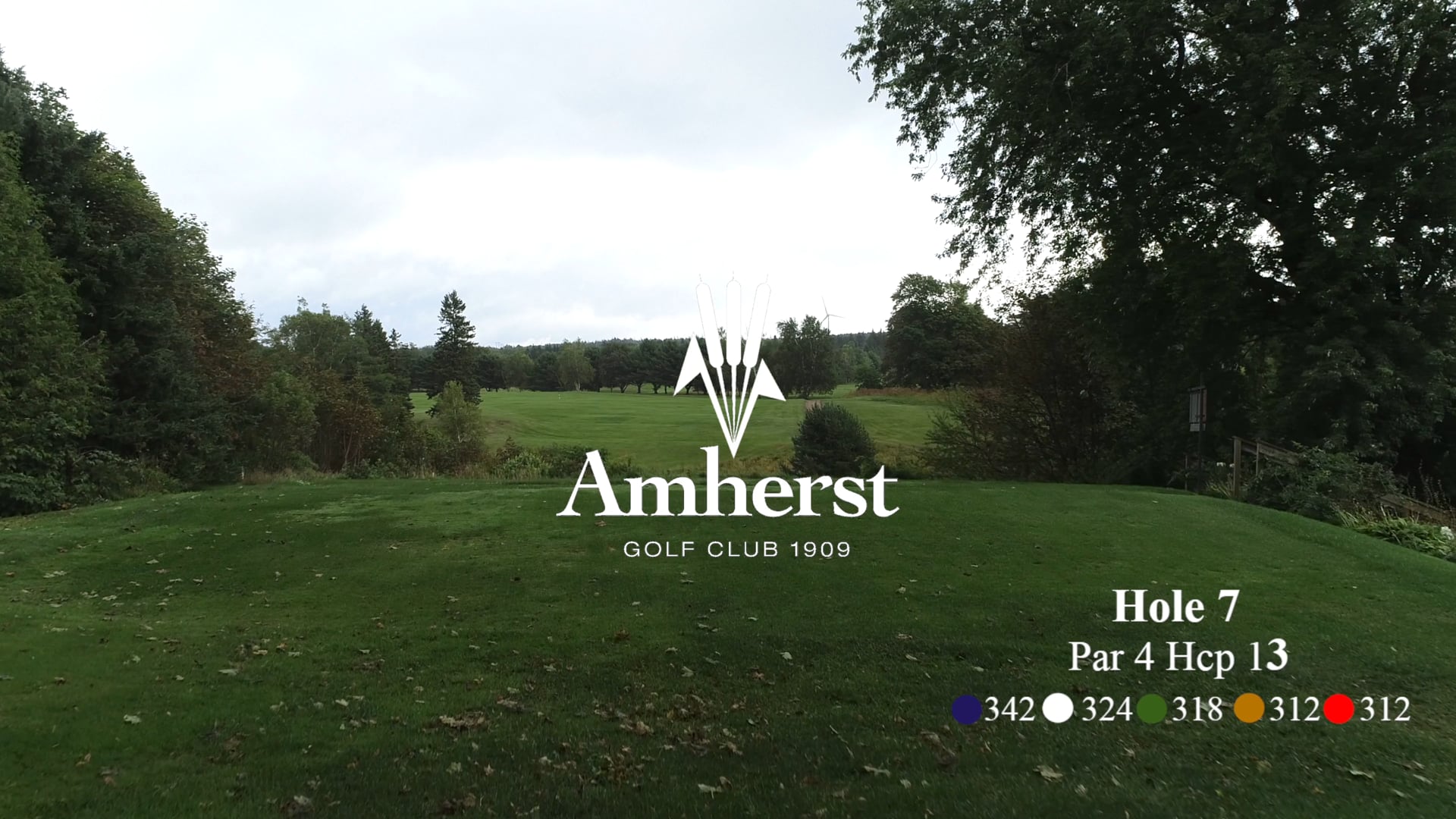 Amherst #7