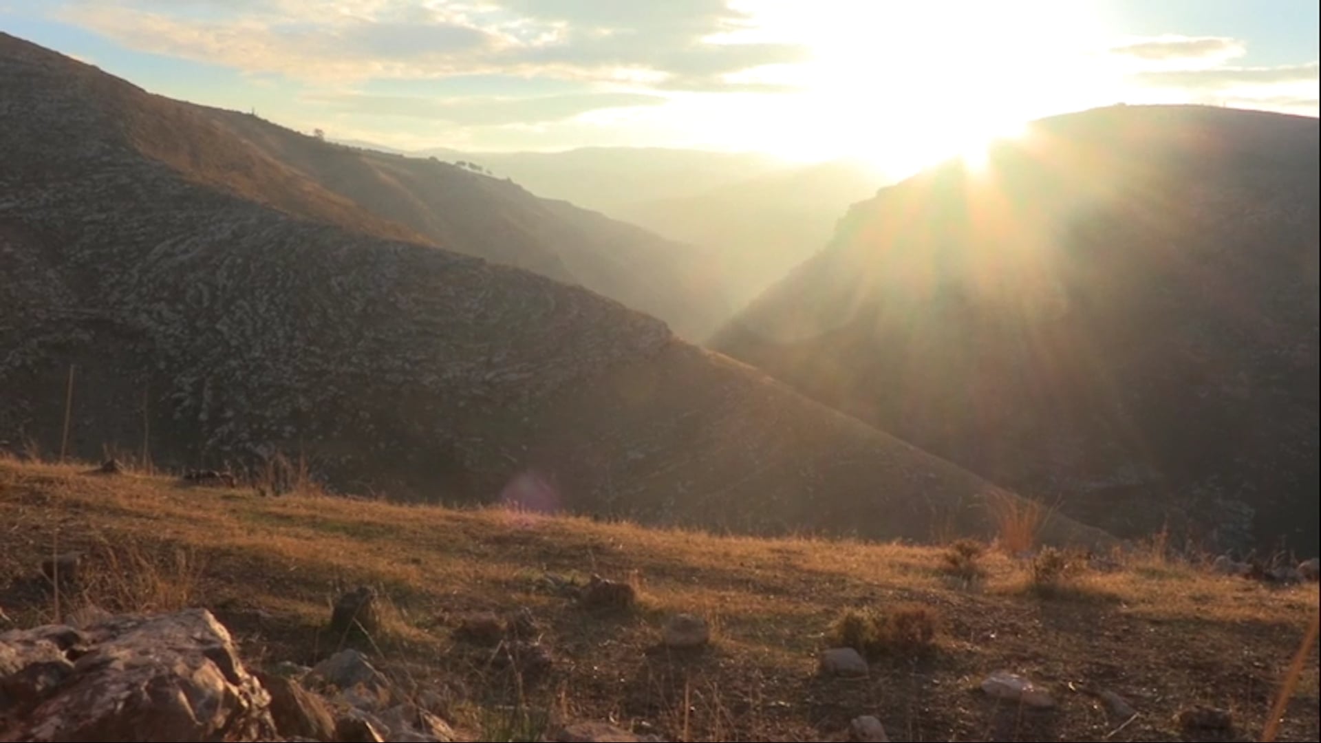 Olives and the apocalypse