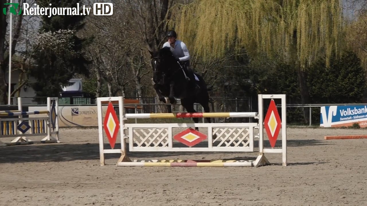 Richtig Reiten mit Richard Vogel - Fit für die nächste Springpferdeprüfung