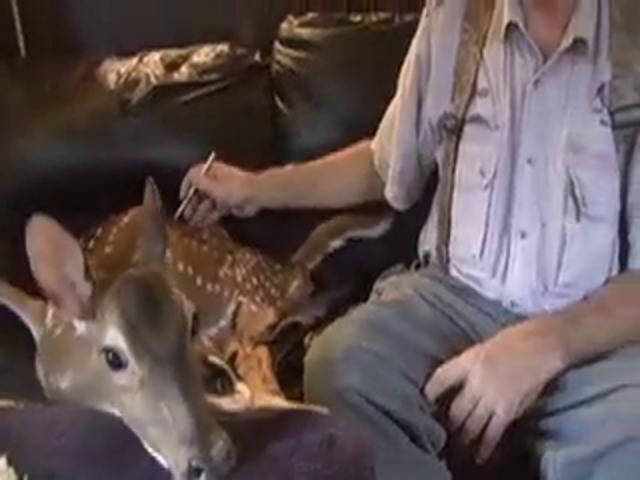 VISITING the BOO BOO ZOO - East Maui Animal Refuge