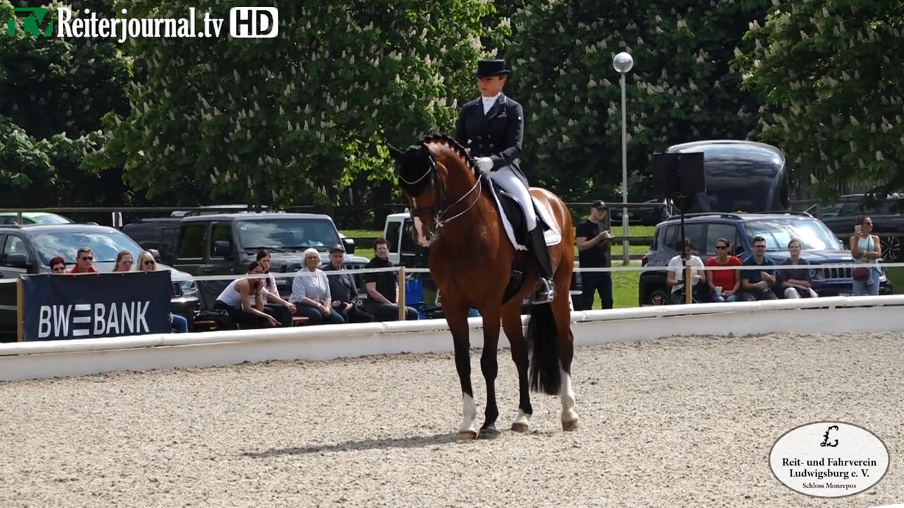 Ludwigsburg Dressurturnier 2019, www.reitverein-ludwigsburg-monrepos.de