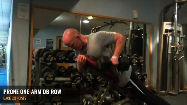 Db best sale row exercise