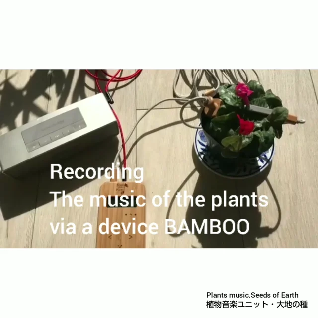 大地の種│植物音楽コラボレーション│Plants Music