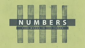 Five Weeks in the Torah – Numbers