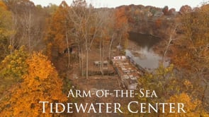 Tidewater Center