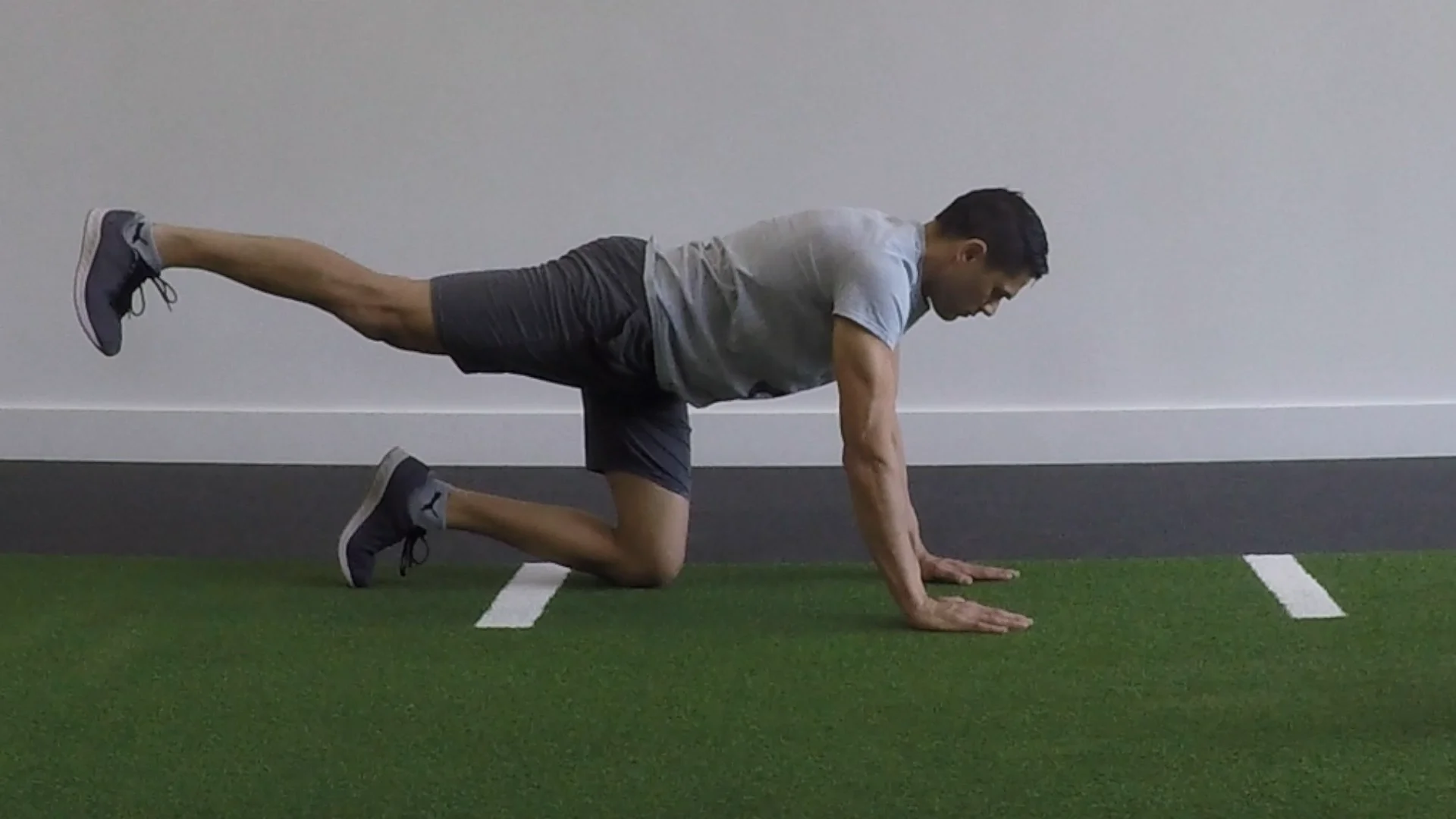 Quadruped Arm Opposite Leg Raise Kneeling Side Plank With Leg Lift