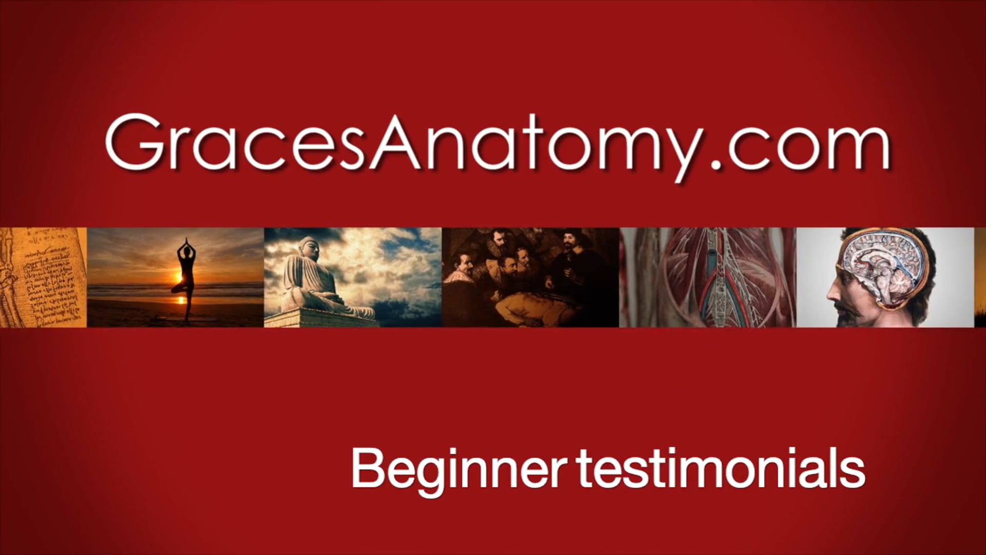 Beginner testimonial for Grace's Anatomy Online Course