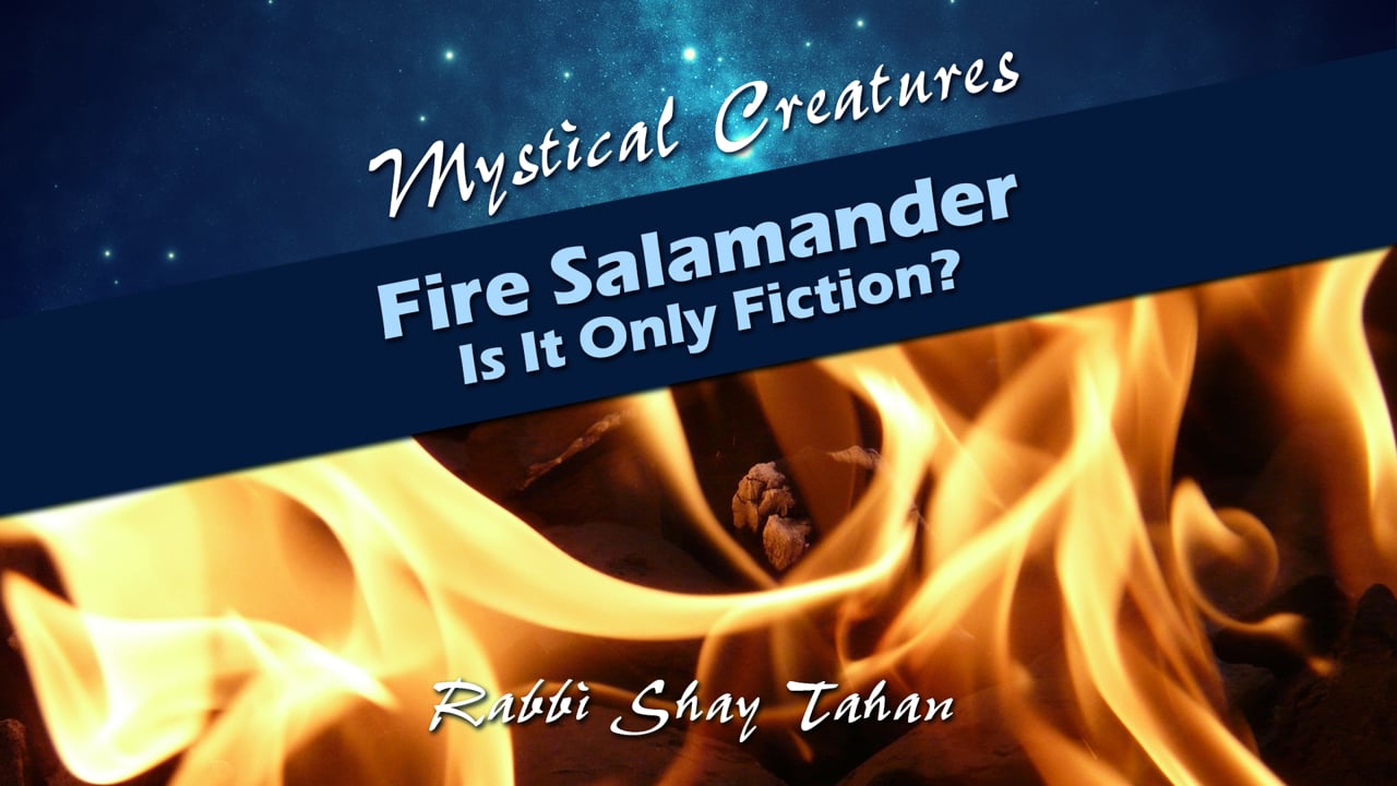 Mystical Creatures #4 - Fire Salamander - Is It Only Fiction