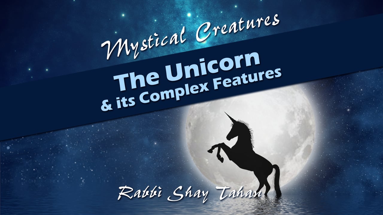 Mystical Creatures #6 - The Unicorn & its Complex Features