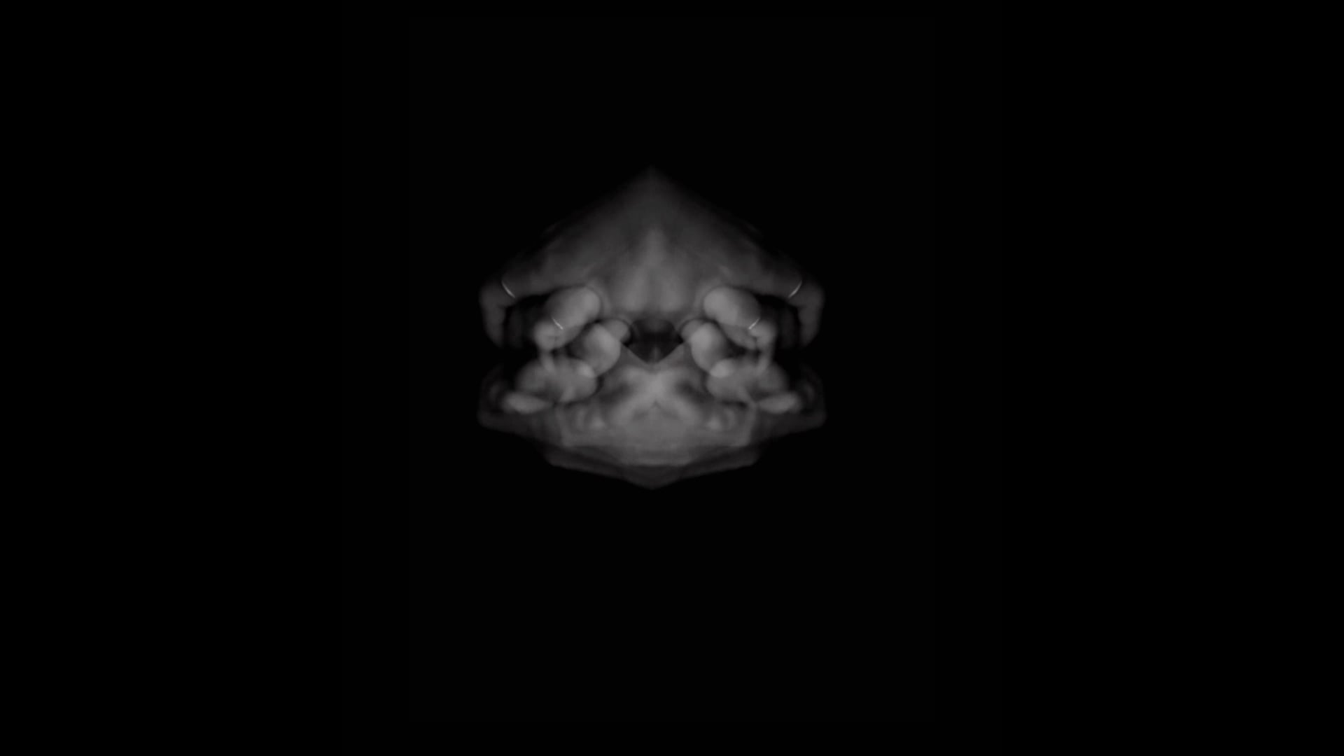 Contact | 2011