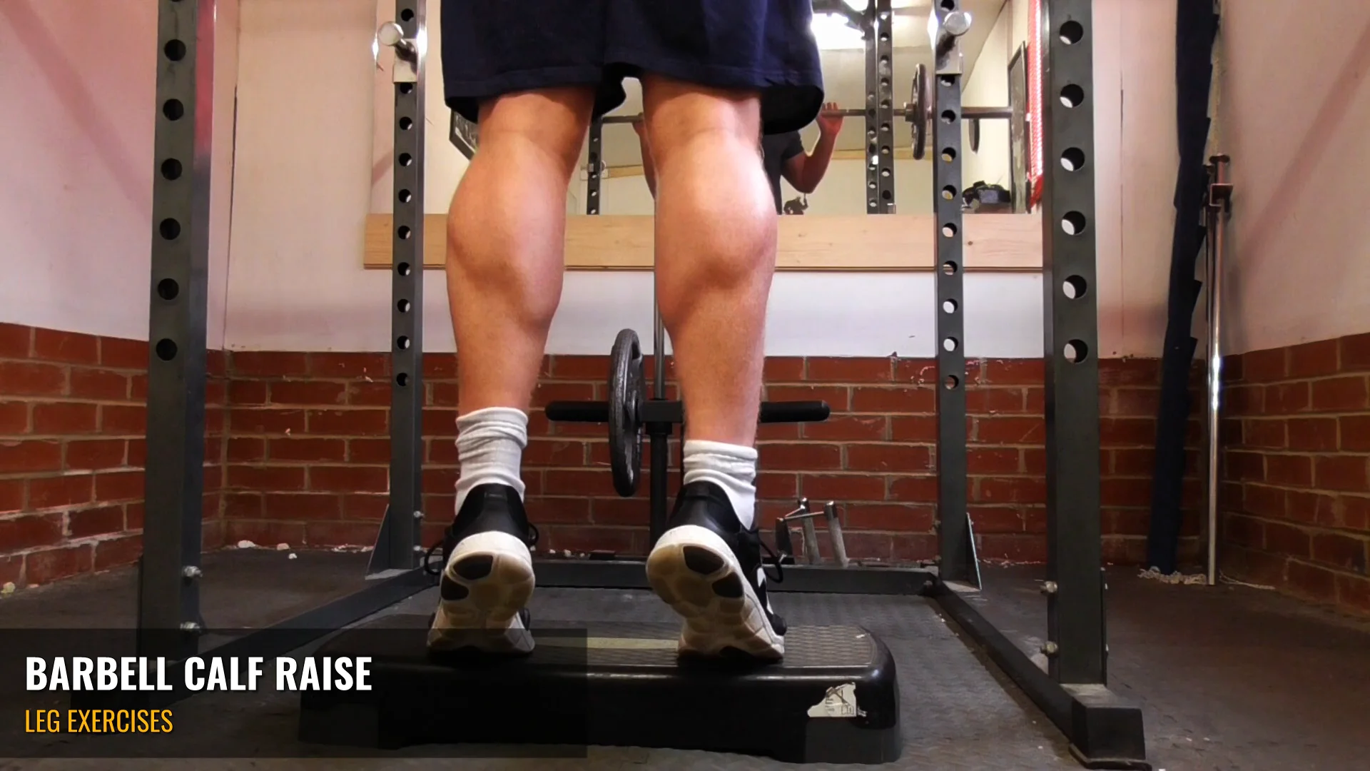 Barbell discount calf raises