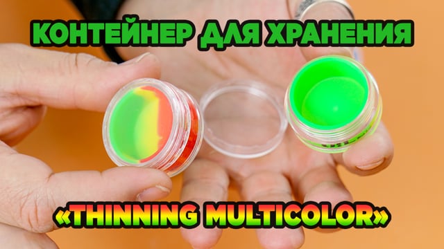 Контейнер для хранения «Thinning Multicolor»