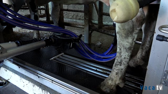 Á vangarda no muxido con robot