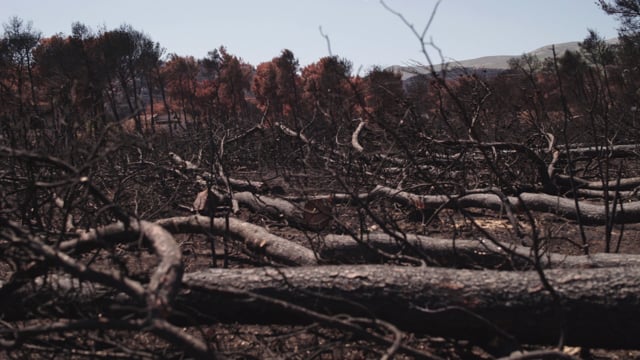 “Mati Fire Incident” Short Documentary