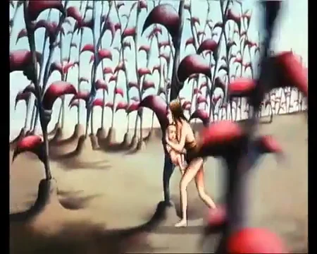 La Plan&egrave;te Sauvage